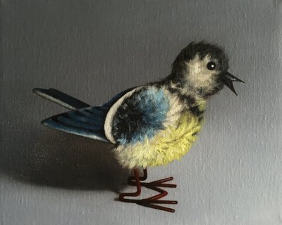 Blaumeise von Peter Jones