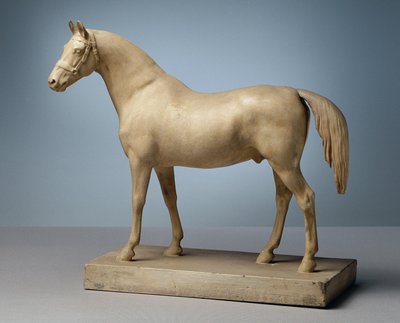 Ungesatteltes Pferd von Peter Krafft