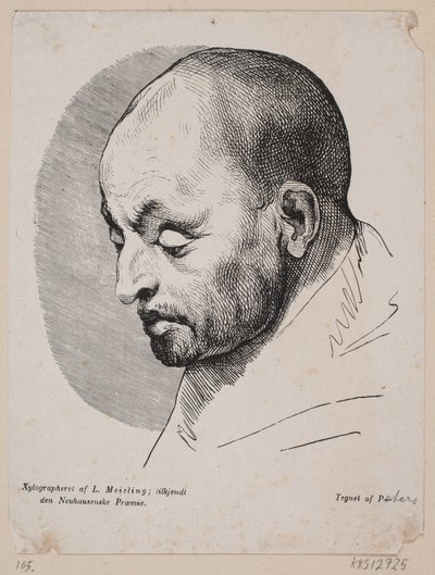 Kopf eines kahlen Mannes von Peter Ludvig Meisling