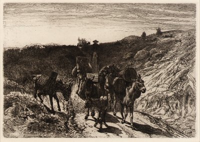 Ein Eselzug, New Mexico von Peter Moran