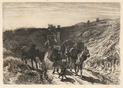 Burro-Zug, New Mexico von Peter Moran