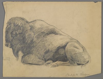 Bison von Philip H. Wolfrom