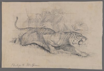 Tiger in der Landschaft von Philip H. Wolfrom