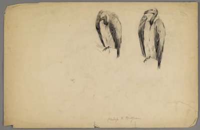 Geier von Philip H. Wolfrom