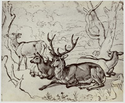 Ridinger, Ein Hirsch von Philip Henry Delamotte
