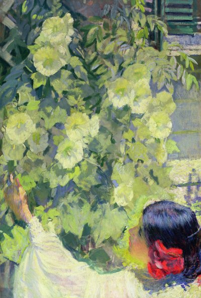Stockrosen von Philip Leslie Hale