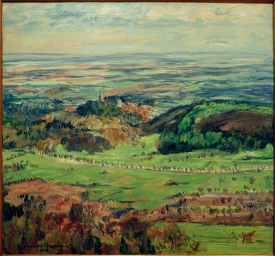 Blick in die Mainebene von Philipp Franck