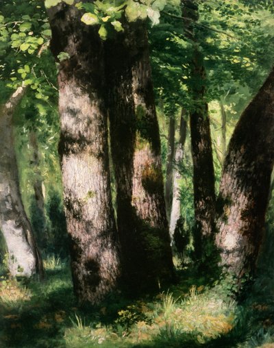 Unbekanntes Bild von Pierre Auguste Renoir