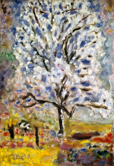 Der Mandelbaum in Blüte, 1947 von Pierre Bonnard