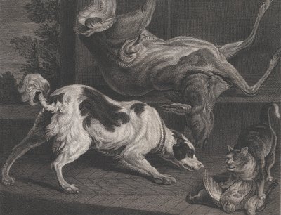 Hunde und Stillleben, 1778 von Pierre Charles Canot