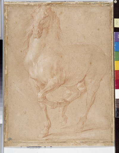 Pferdestudie von Pierre Puget