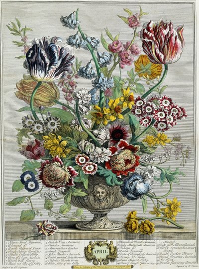 April, aus "Zwölf Monate der Blumen", 1730 von Pieter Casteels