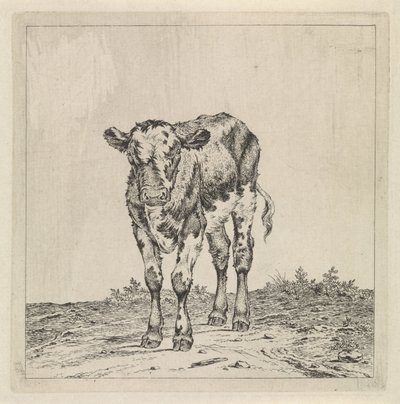 Landschaft mit Kalb von Pieter Janson