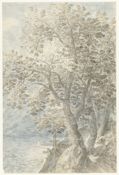 Bäume bei einer steilen Felswand von Pieter Stevens (I)