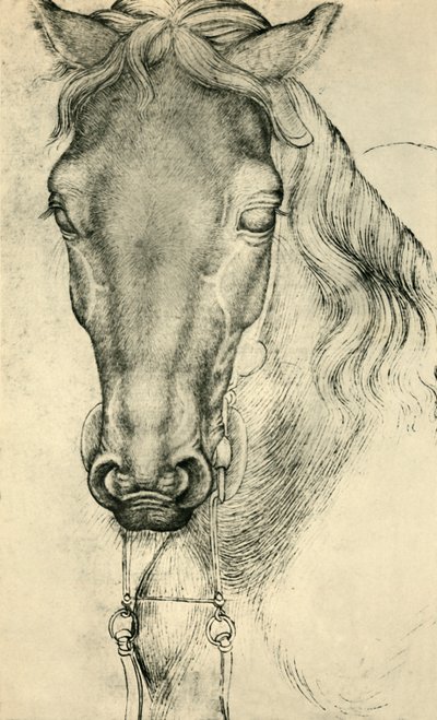 Kopf eines Pferdes, ca. 1420-1455, 1943 von Antonio Pisanello