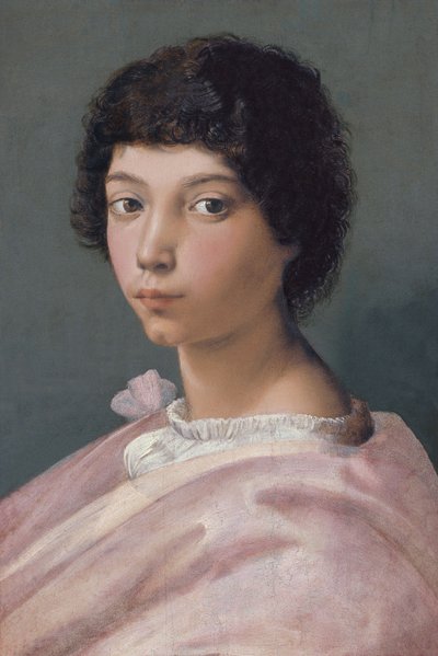 Porträt eines jungen Mannes von Raffaello Sanzio Raphael