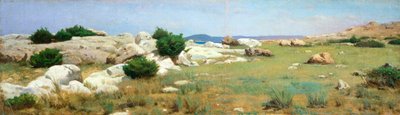 Klippe bei Castiglioncello von Raffaello Sernesi