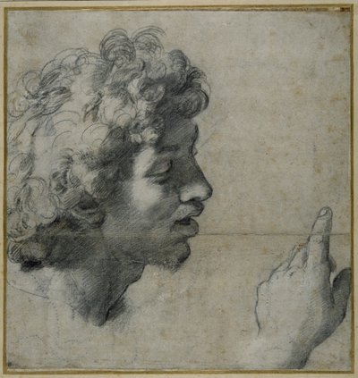 Studie von Kopf und Hand von Raphael