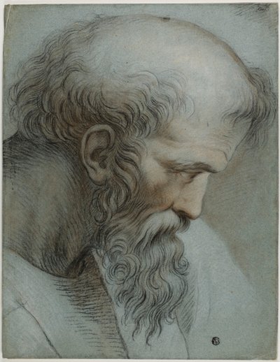 Kopf des Pythagoras von Raphael