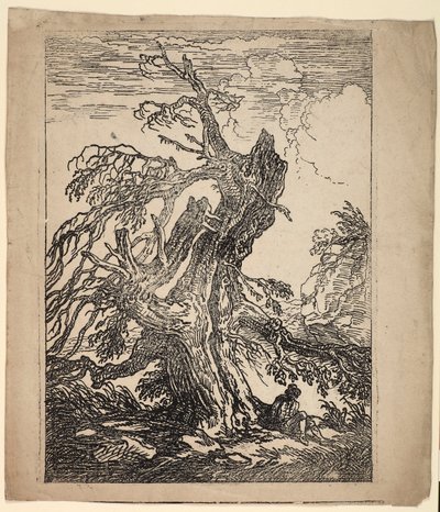 Studie eines Baumes von Raphael Lamar West