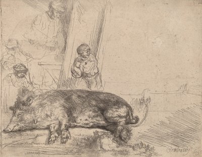 Das Schwein von Rembrandt van Rijn