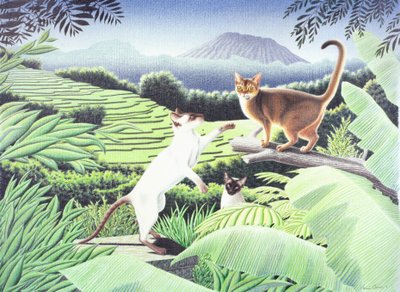 Bali von Rene Boin