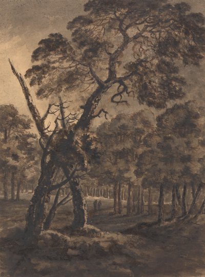 Waldszene von Rev. William Gilpin