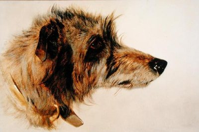 Kopf eines Hundes von Richard Ansdell