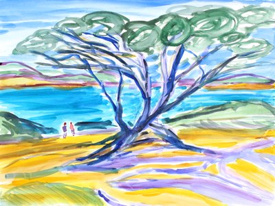 Zypresse, Carmel, 2019 von Richard Fox