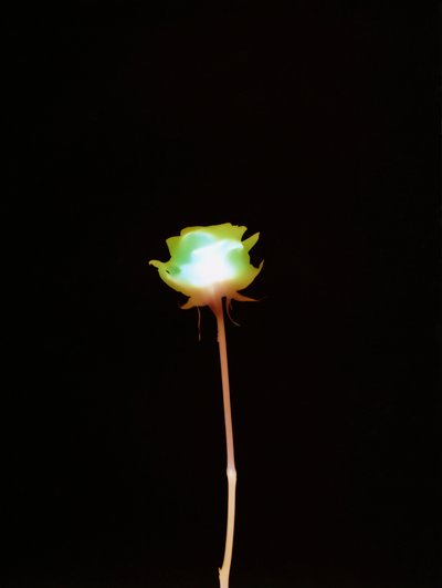 Ohne Titel, 2007 von Richard Green