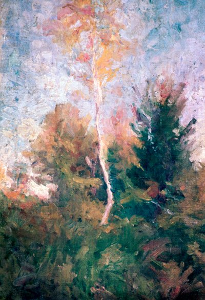 Die Birke von Rihard Jakopic