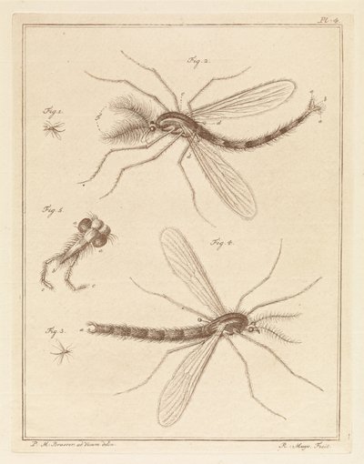 Pluimmug von Robbert Muys