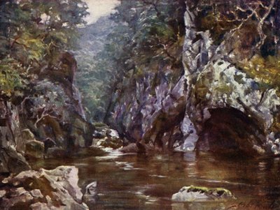 Feen-Schlucht, Bettws-y-Coed (Farblithografie) von Robert (after) Fowler