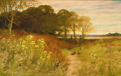 Landschaft mit Wildblumen und Kaninchen von Robert Collinson