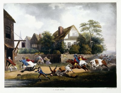 Ein wütender Stier, 1806 von Robert Dodd
