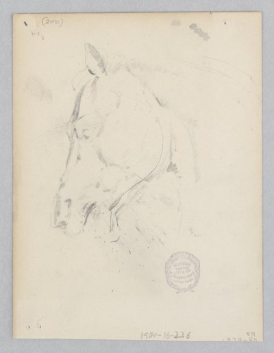 Pferd von Robert Frederick Blum