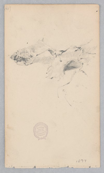 Tigermuster-Teppich von Robert Frederick Blum