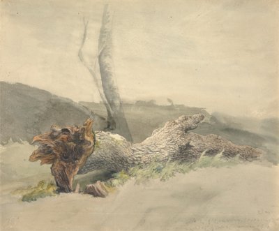 Der gefallene Baum von Robert Hills