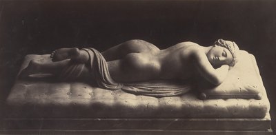 Der Hermaphrodit von Robert MacPherson