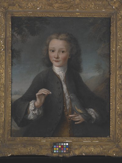 Voltaire im Alter von 13 Jahren von Robert Tournieres