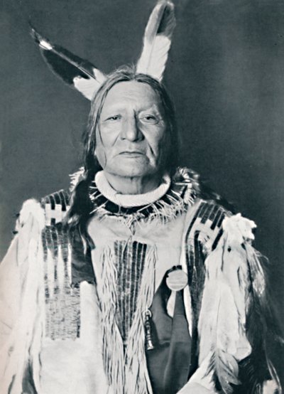 Ein Sioux-Häuptling von Robert Wilson Shufeldt