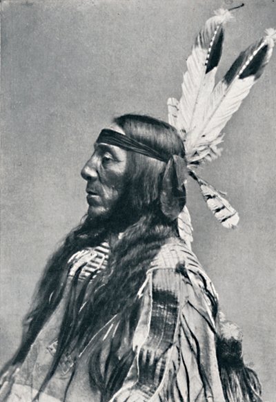 Profilansicht eines Sioux von Robert Wilson Shufeldt