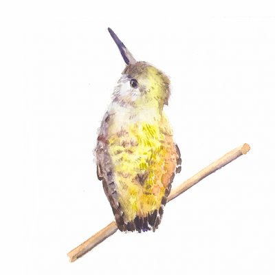 Annas Jungvogel von Roberta Murray