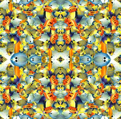 Kaleidoskop-Fischfliese von Robyn Parker