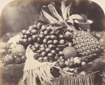 Stillleben mit Früchten, 1860 von Roger Fenton
