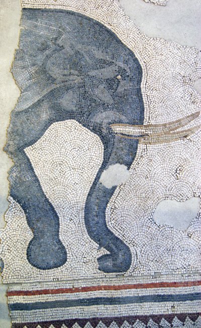 Unbekanntes Bild von Roman