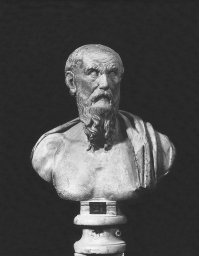 Büste des Diogenes (Marmor) von Roman Roman