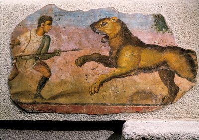 Gladiator kämpft gegen einen Löwen von Roman Roman