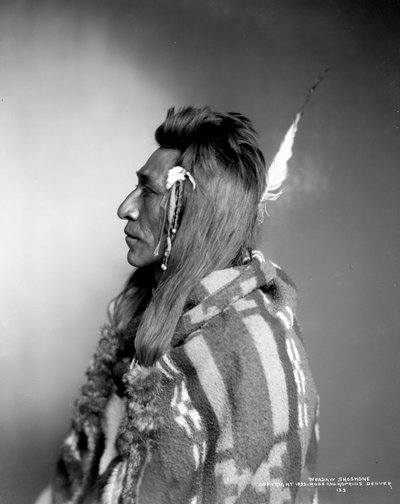 Weasaw Shoshone, ca. 1899 von Rose and Hopkins Studio