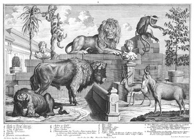 Löwe und Wisentpaar von Salomon Kleiner